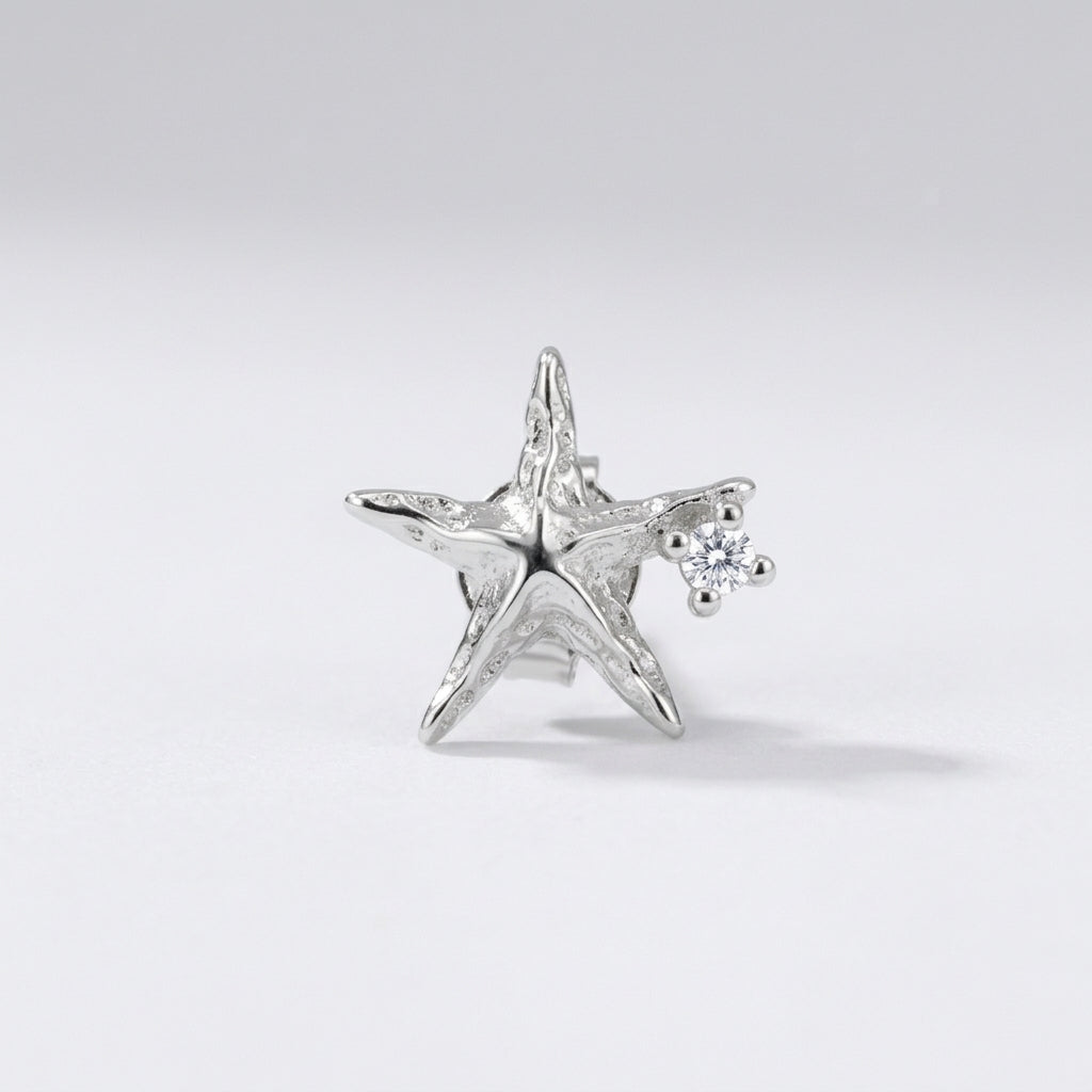 Celestial Moon & Star Silver Earrings