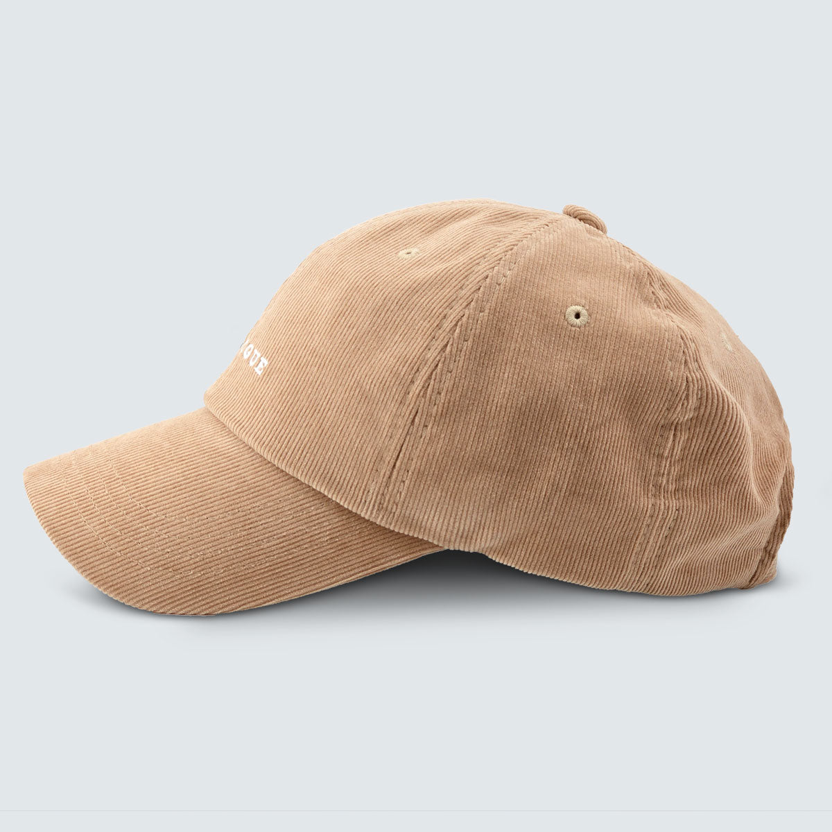 ANALOGUE Corduroy Embroidered Cap