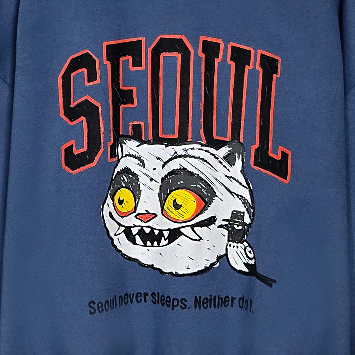 Seoul HAECHI Graphic Unisex Sweatshirt   (UNISEX / WOMEN – OVERFIT)