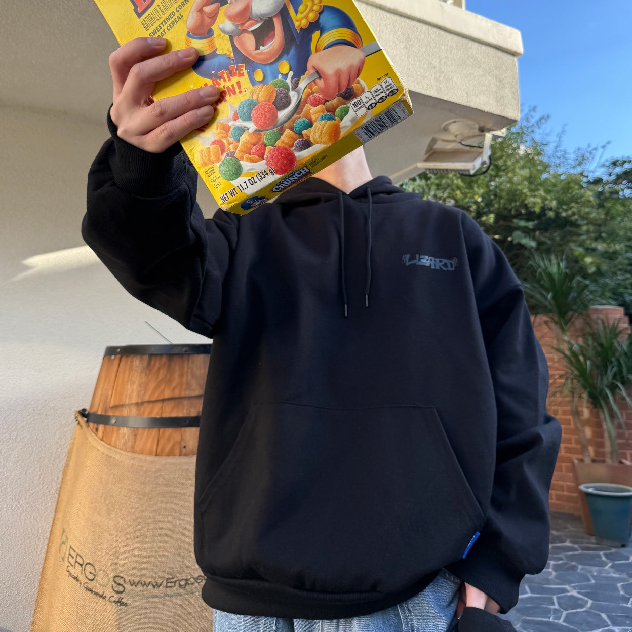 Bewildered Lizard Graphic Hoodie (UNISEX / WOMEN - OVERFIT)